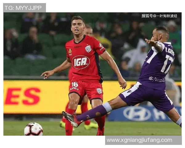 墨尔本胜利与阿德莱德联比赛前瞻及胜负预测分析