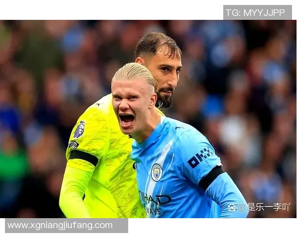 哈兰德:对多纳鲁马只要赞许之词;来意大利踢球?还没考虑过 哈兰德:对多纳鲁马只要赞许之词;来意大利踢球?还没考虑过