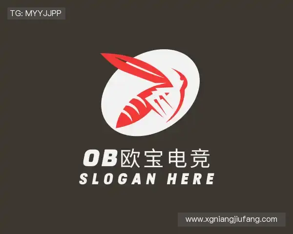 认识ob欧宝电竞